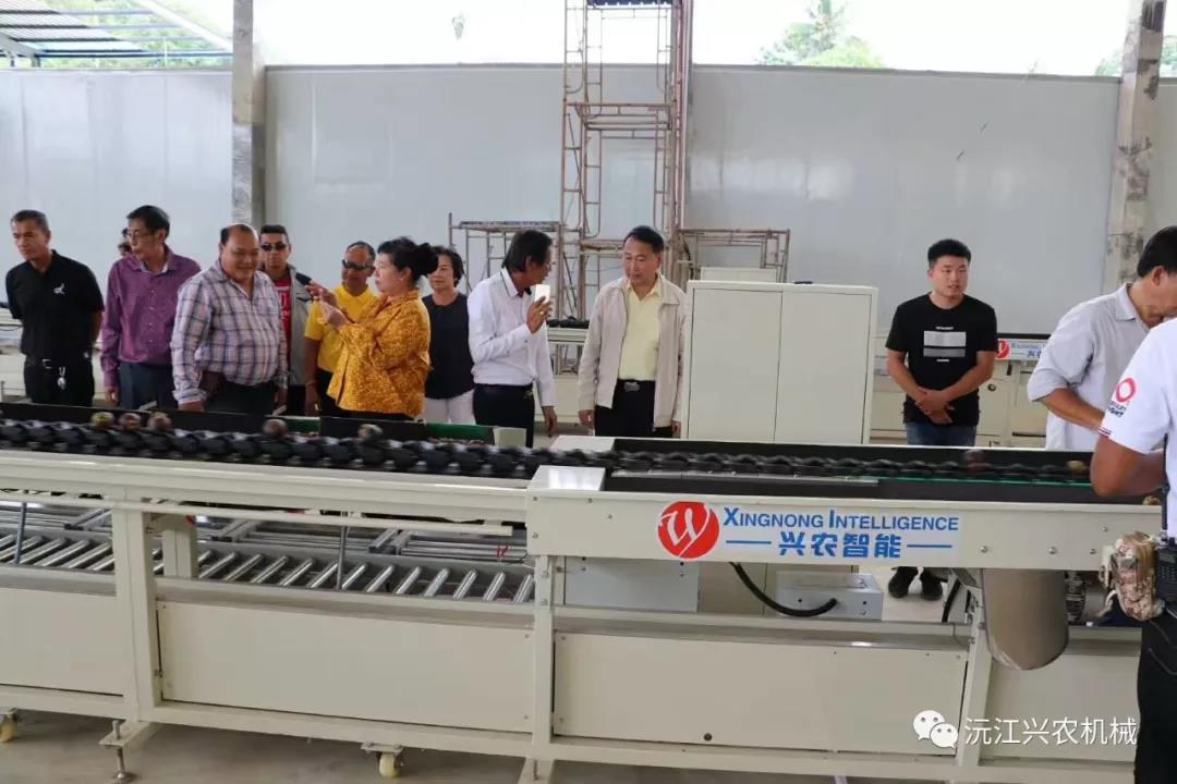 沅江興農(nóng)機(jī)械制造有限公司,沅江水果分選機(jī),沅江水果清洗機(jī),沅江水果打蠟機(jī)哪里好,沅江興農(nóng)機(jī) 沅江興農(nóng)機(jī)械制造有限公司,沅江水果分選機(jī),沅江水果清洗機(jī),沅江水果打蠟機(jī)哪里好,沅江興農(nóng)機(jī)